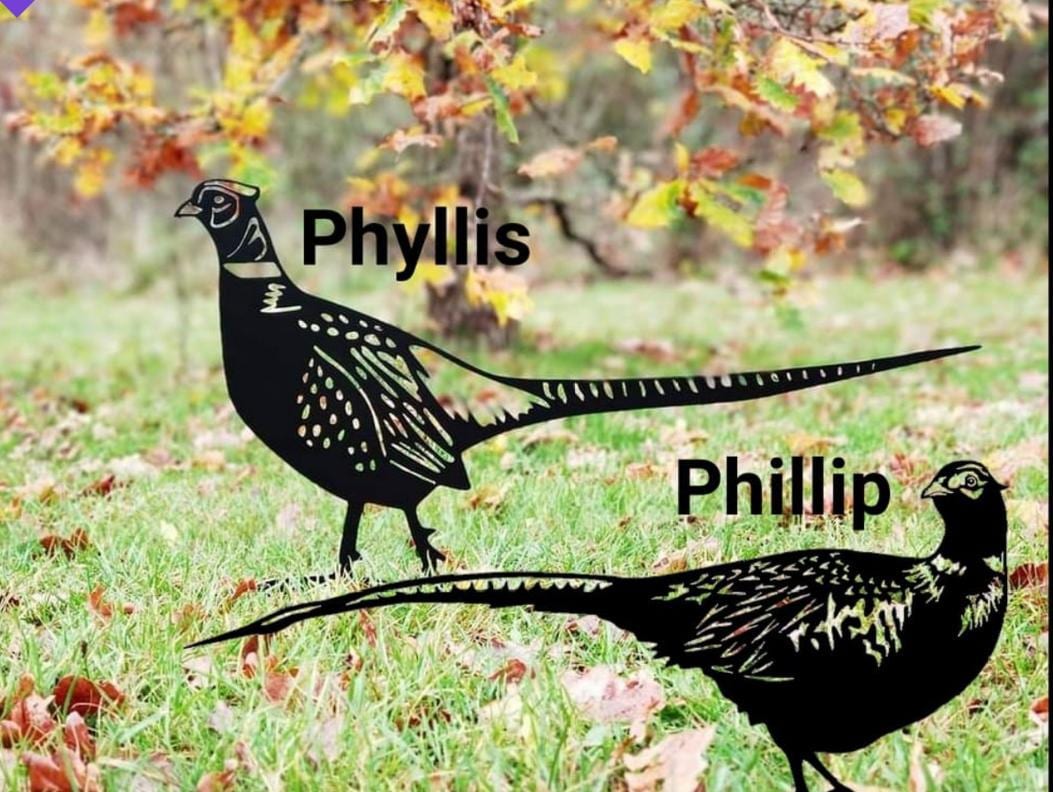 Laser Cut Metal Pheasant Garden Art | Satin Black Outdoor Wildlife Decor