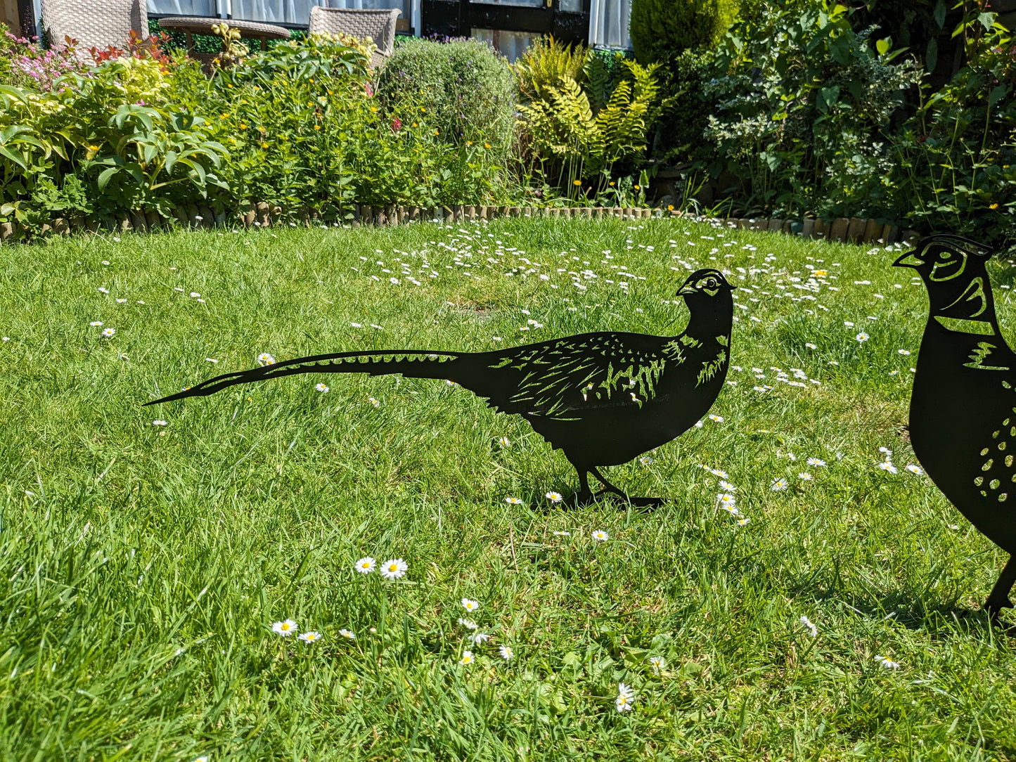 Laser Cut Metal Pheasant Garden Art | Satin Black Outdoor Wildlife Decor