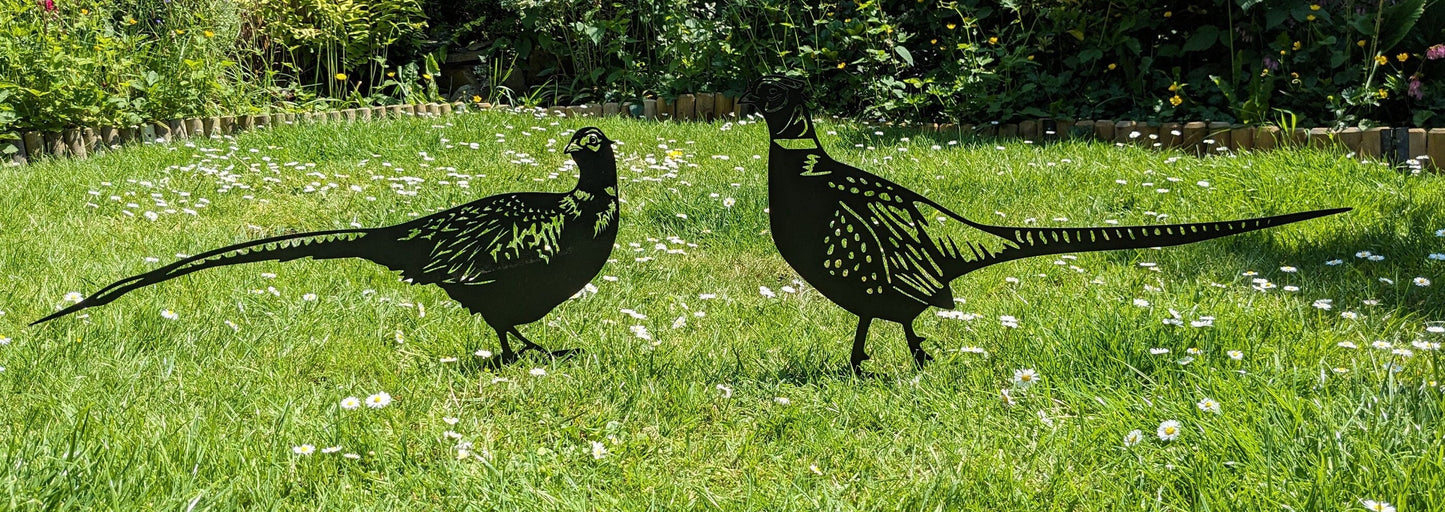 Laser Cut Metal Pheasant Garden Art | Satin Black Outdoor Wildlife Decor