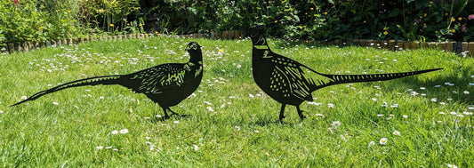 Laser Cut Metal Pheasant Garden Art | Satin Black Outdoor Wildlife Decor